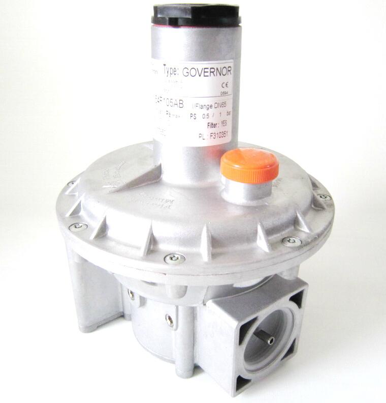 �ư�(Fiorentini)ȼ����ѹ��31154(DN40)
